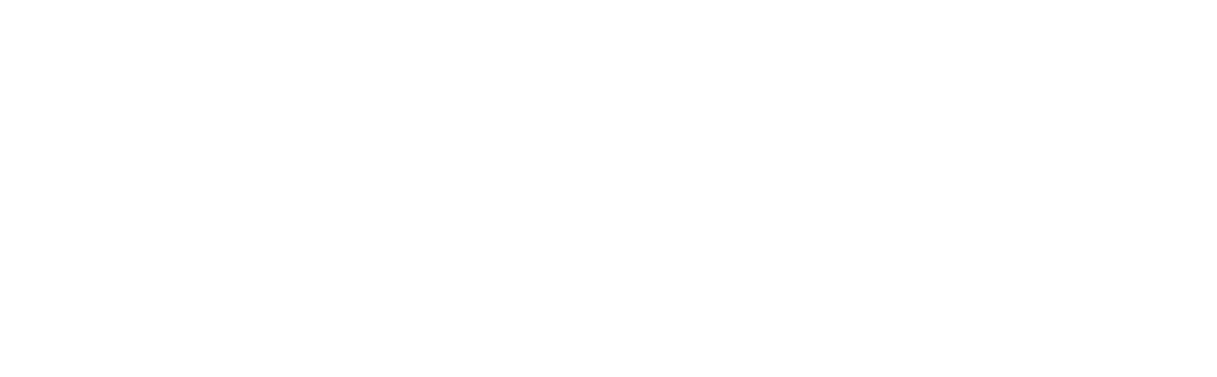 Sedense Elektronik Güvenlik Sistemleri